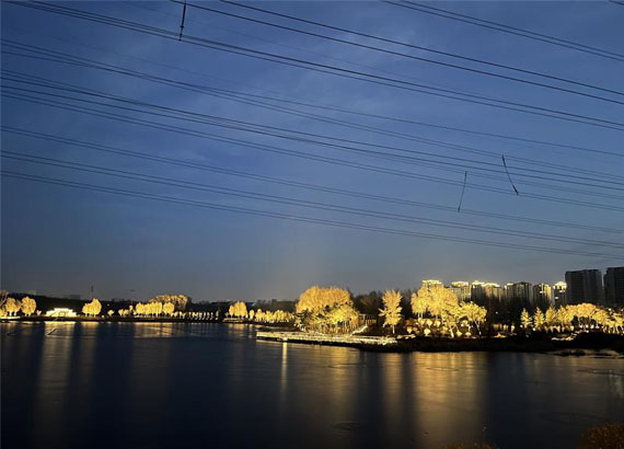 丁香东湖公园亮化